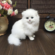peluche chat persan blanc